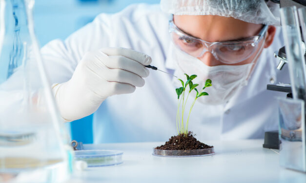 Rapid-Response Biomanufacturing
