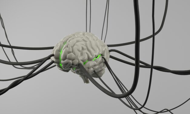 Human Adaptability Complements Industrial Automation
