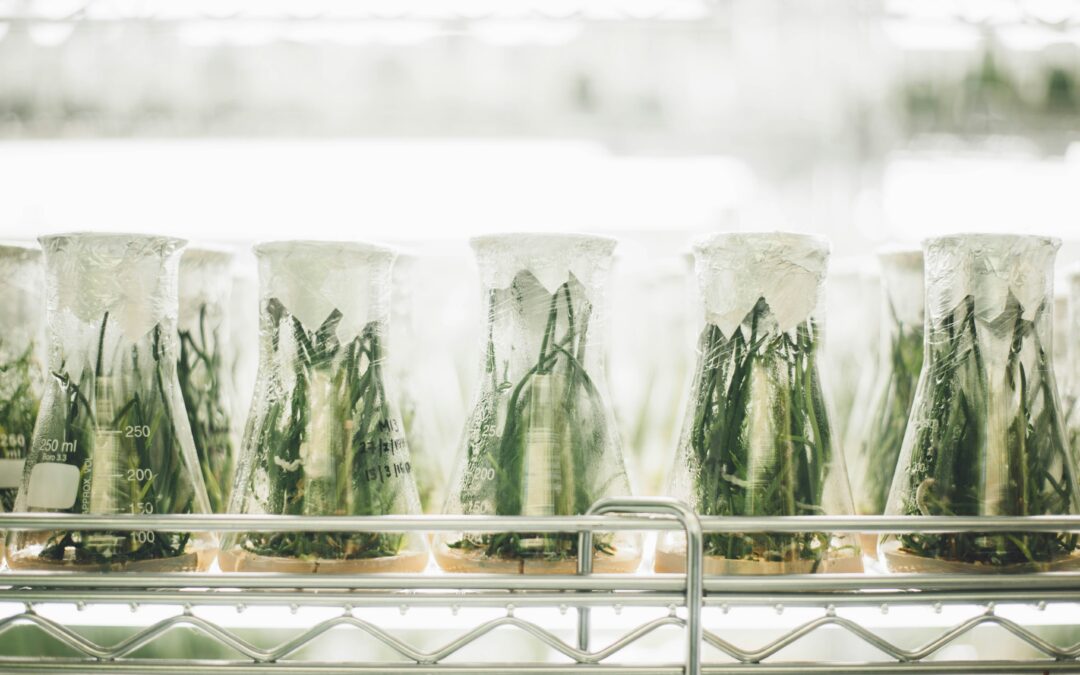 Controlled Environment Agriculture Advances