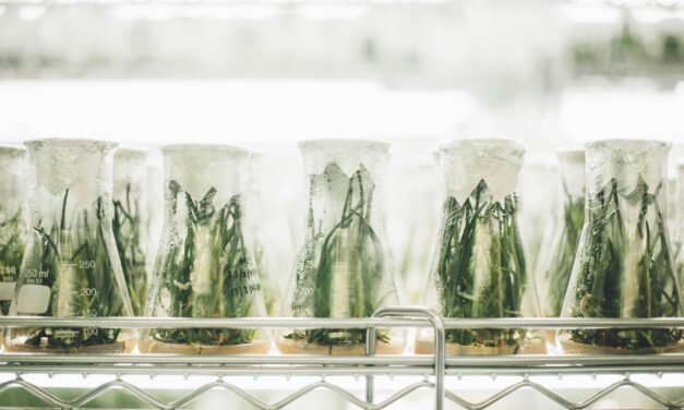 Controlled Environment Agriculture Advances