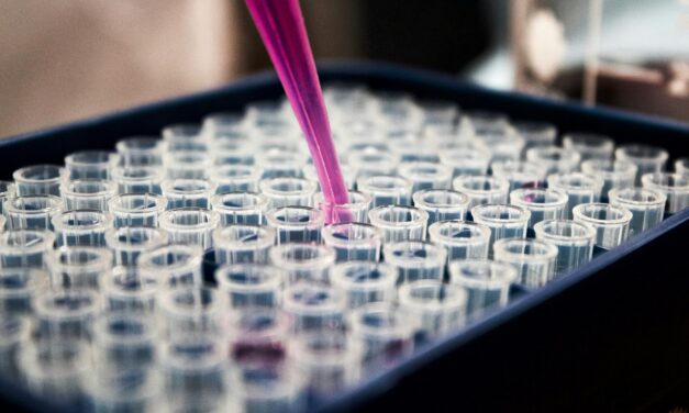 Proactive Lead Testing in Educational Facilities