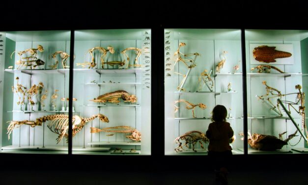 Advanced Archaeological Analysis Enhances Heritage Tourism