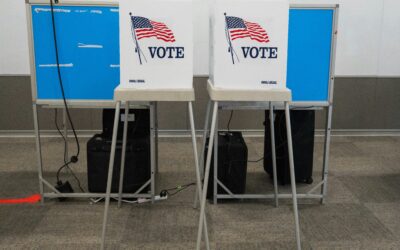 Demographic Disparities Influence Voter Participation